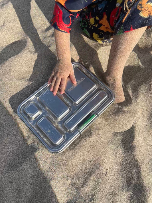 stainless steel eco lunchbox for kids Japan